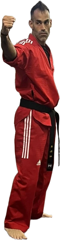 Adult Taekwondo (13+) class
